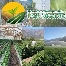 Agro comercial don Vicente spa
