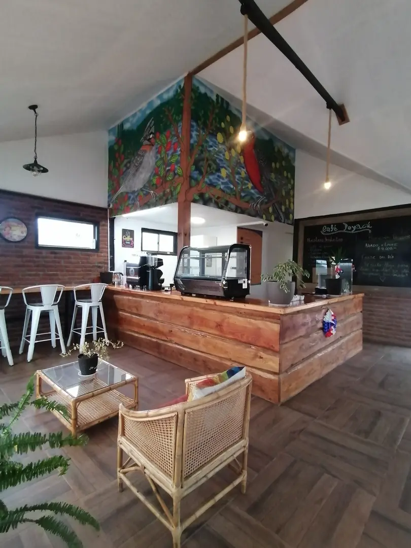 Café Peyacú